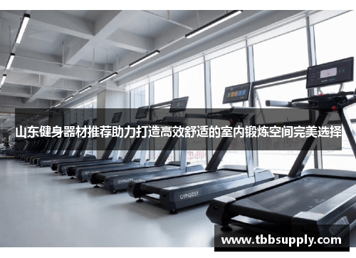 山东健身器材推荐助力打造高效舒适的室内锻炼空间完美选择