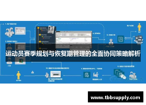 运动员赛季规划与恢复期管理的全面协同策略解析
