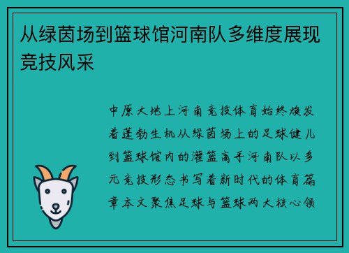 从绿茵场到篮球馆河南队多维度展现竞技风采